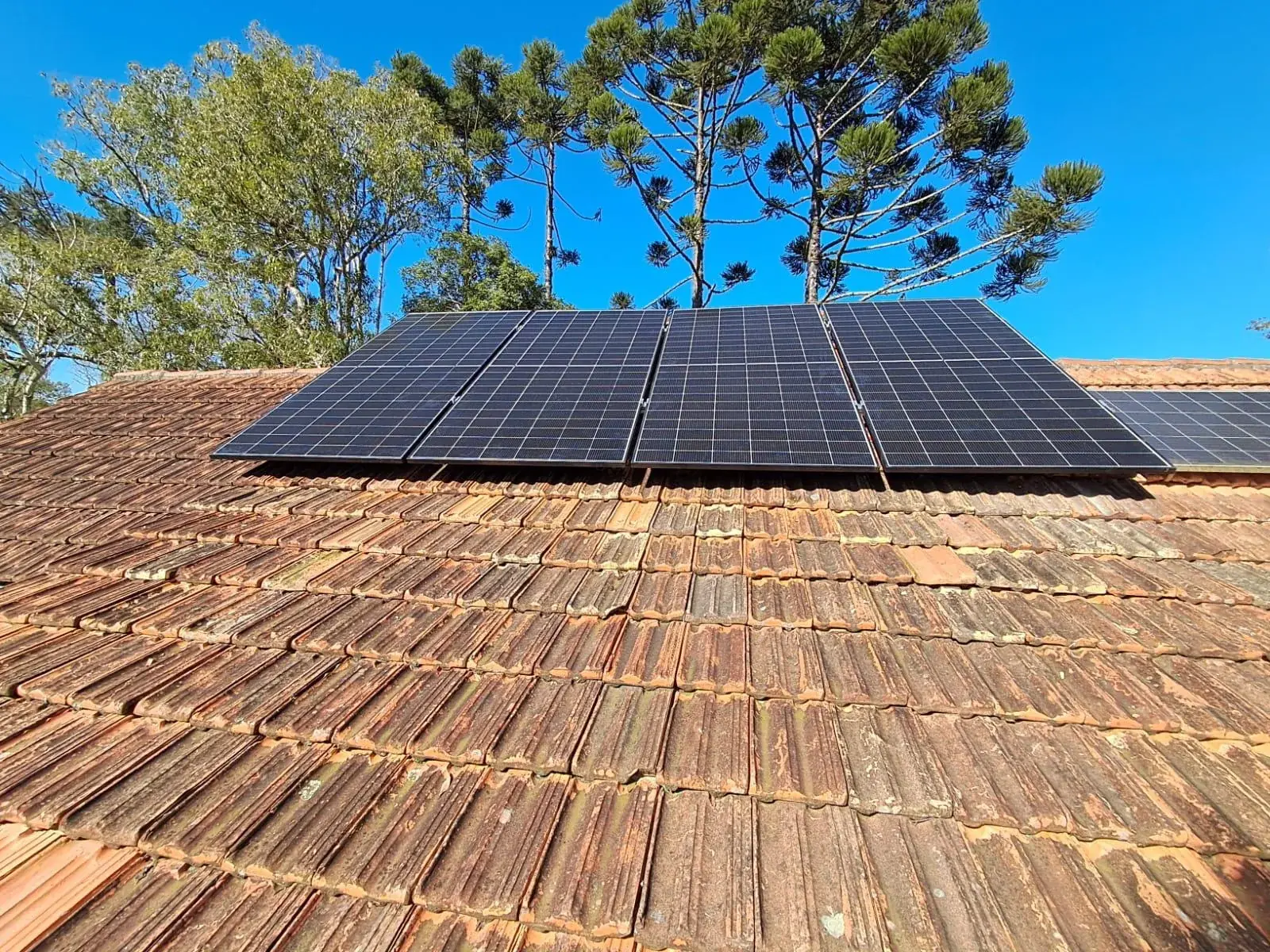 Módulos solares instalados no telhado da chácara do Odacir em Rio Negrinho